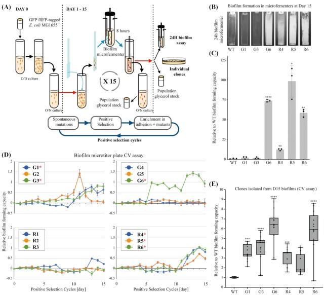https://cdn.ncbi.nlm.nih.gov/pmc/blobs/099d/10117834/f2d8d9ba64ef/uqac001fig1.jpg