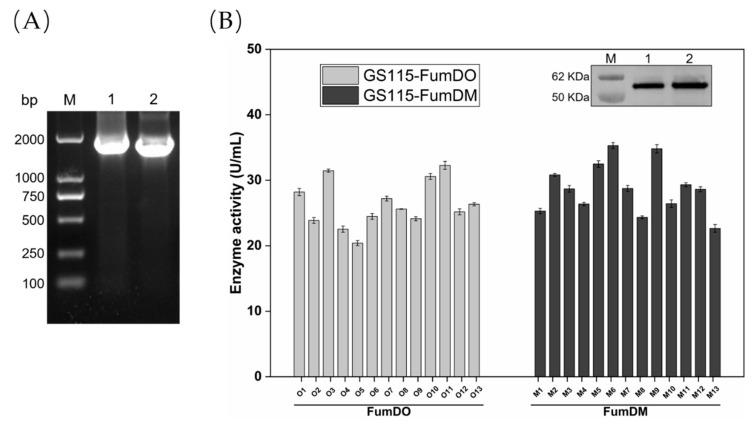 https://cdn.ncbi.nlm.nih.gov/pmc/blobs/09a8/9960120/433aff45c54e/toxins-15-00156-g001.jpg