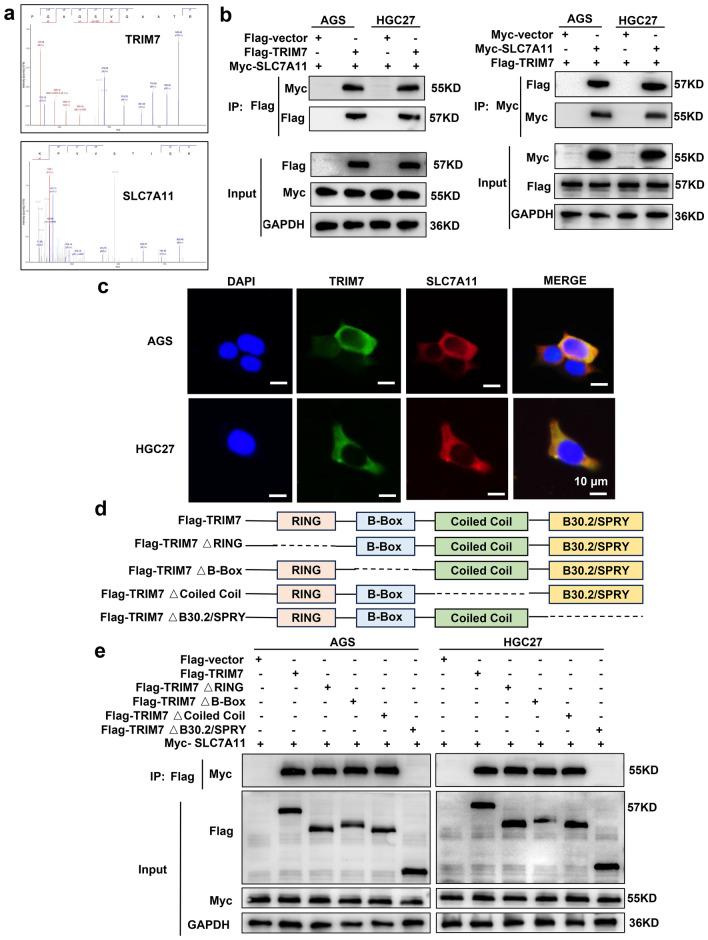 https://cdn.ncbi.nlm.nih.gov/pmc/blobs/09c0/10954695/8d6e5dae6372/41598_2024_56746_Fig4_HTML.jpg