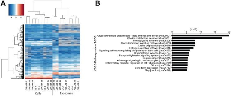 https://cdn.ncbi.nlm.nih.gov/pmc/blobs/09c3/5685739/b78b7d7d8d61/oncotarget-08-90164-g002.jpg