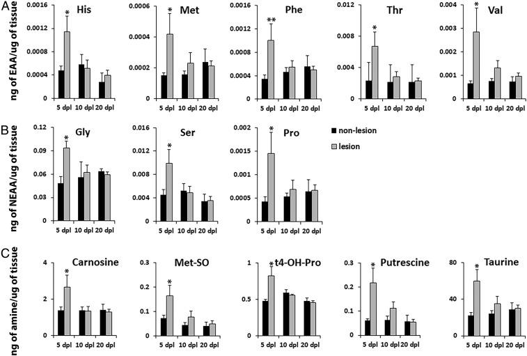 https://cdn.ncbi.nlm.nih.gov/pmc/blobs/09e4/6628798/6bc764d442b0/pnas.1819343116fig06.jpg