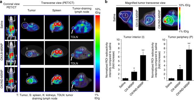 https://cdn.ncbi.nlm.nih.gov/pmc/blobs/09eb/5703845/aca404b8b03d/41467_2017_1651_Fig7_HTML.jpg