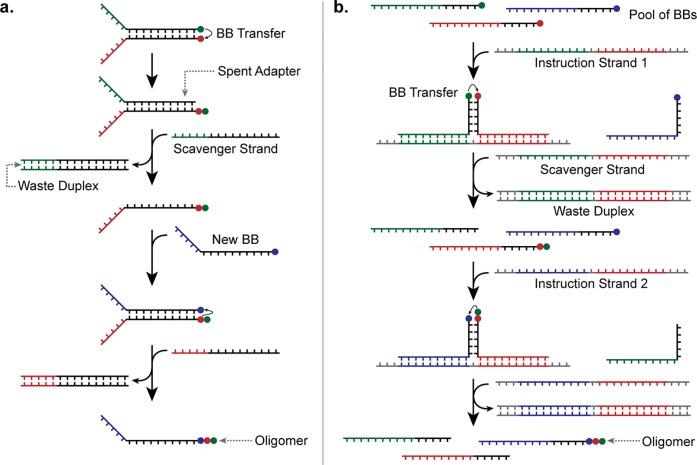 https://cdn.ncbi.nlm.nih.gov/pmc/blobs/0a0d/5746846/eca28e621622/ar-2017-00280e_0009.jpg