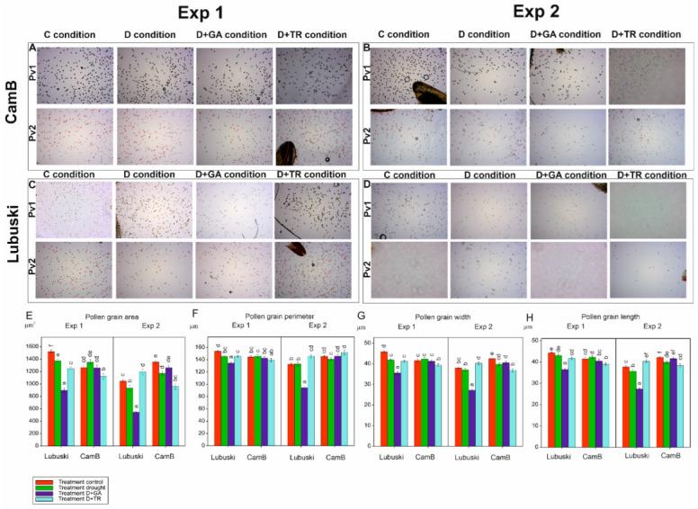https://cdn.ncbi.nlm.nih.gov/pmc/blobs/0a20/10297496/a067284d21f0/cells-12-01656-g003.jpg
