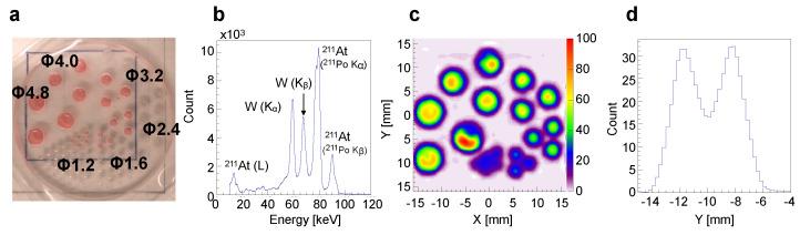 https://cdn.ncbi.nlm.nih.gov/pmc/blobs/0a3e/11154565/522e4232558f/bioengineering-11-00025-g003.jpg