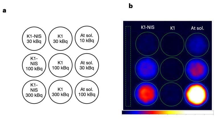 https://cdn.ncbi.nlm.nih.gov/pmc/blobs/0a3e/11154565/cb1fce1030ad/bioengineering-11-00025-g005.jpg