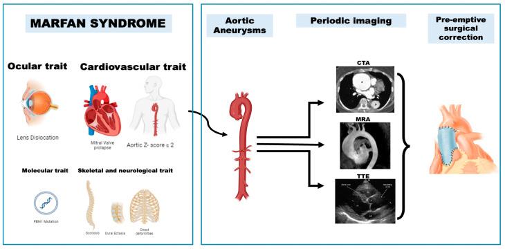 https://cdn.ncbi.nlm.nih.gov/pmc/blobs/0a7a/11242319/e54182b0e109/ijms-25-07367-g001.jpg