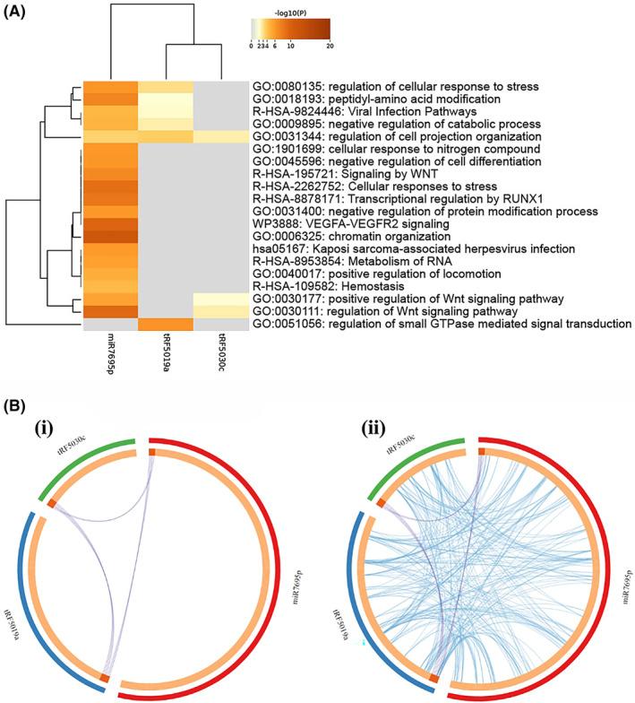 https://cdn.ncbi.nlm.nih.gov/pmc/blobs/0a80/10952661/ba37941eafb4/FSB2-38-0-g007.jpg