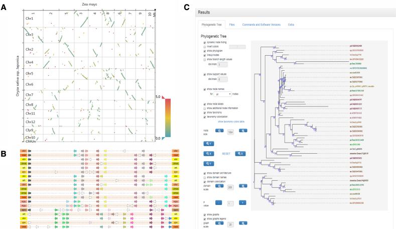 https://cdn.ncbi.nlm.nih.gov/pmc/blobs/0a9e/5753339/d92c8a3de94c/gkx1002fig2.jpg