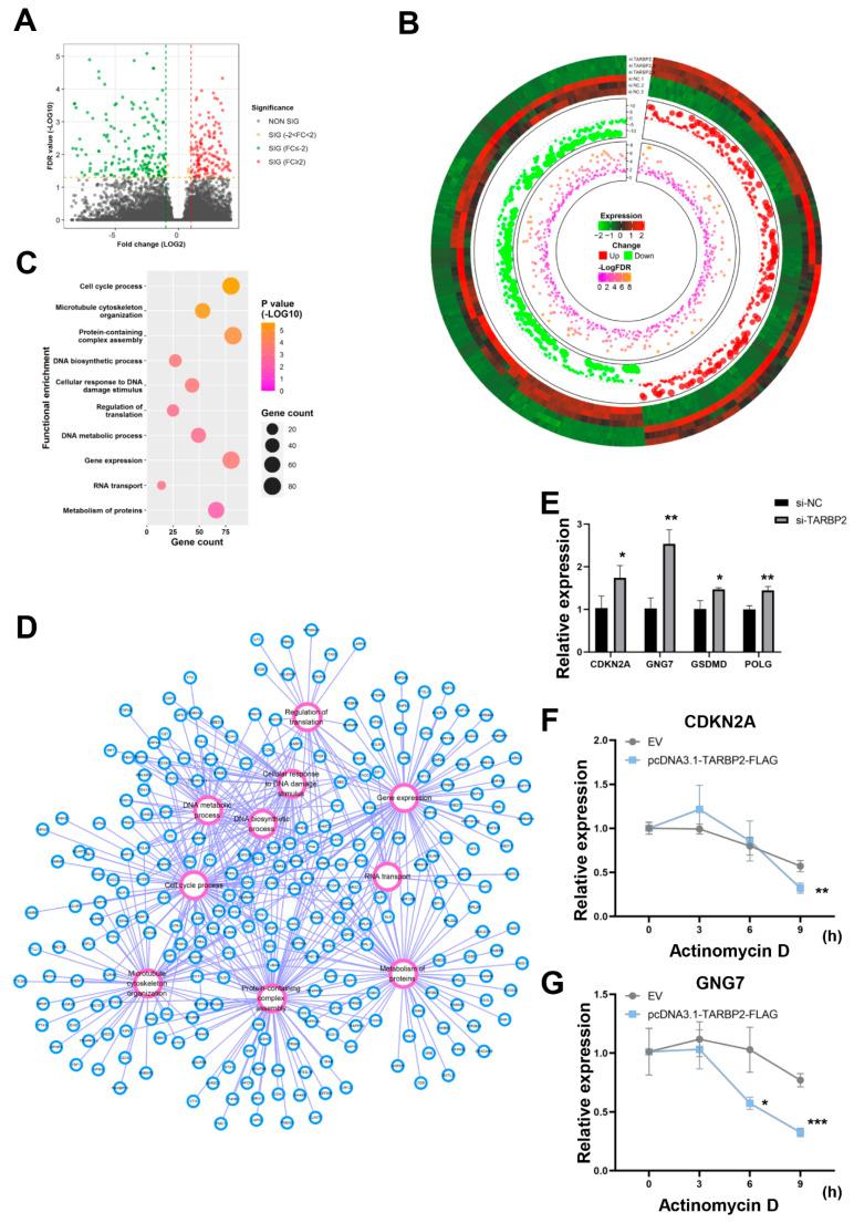 https://cdn.ncbi.nlm.nih.gov/pmc/blobs/0abf/9562272/4b6a9232e388/cancers-14-04940-g005.jpg
