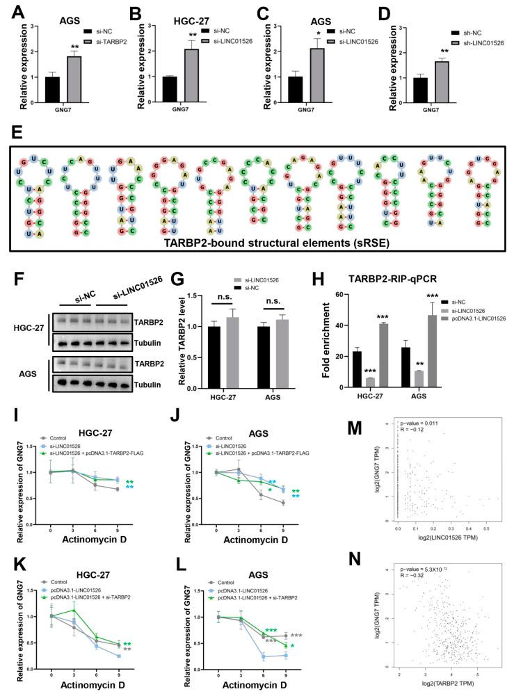https://cdn.ncbi.nlm.nih.gov/pmc/blobs/0abf/9562272/8d2f46676dba/cancers-14-04940-g006.jpg
