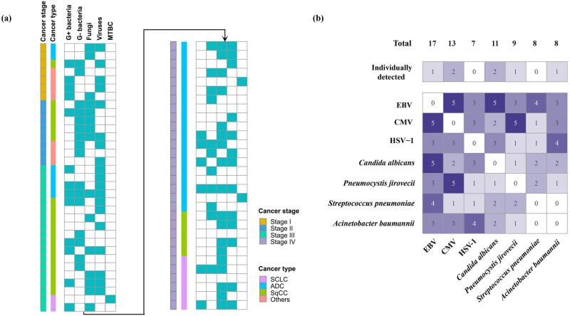https://cdn.ncbi.nlm.nih.gov/pmc/blobs/0ae7/12048904/4ce5badf2ed6/j_med-2025-1180-fig002.jpg
