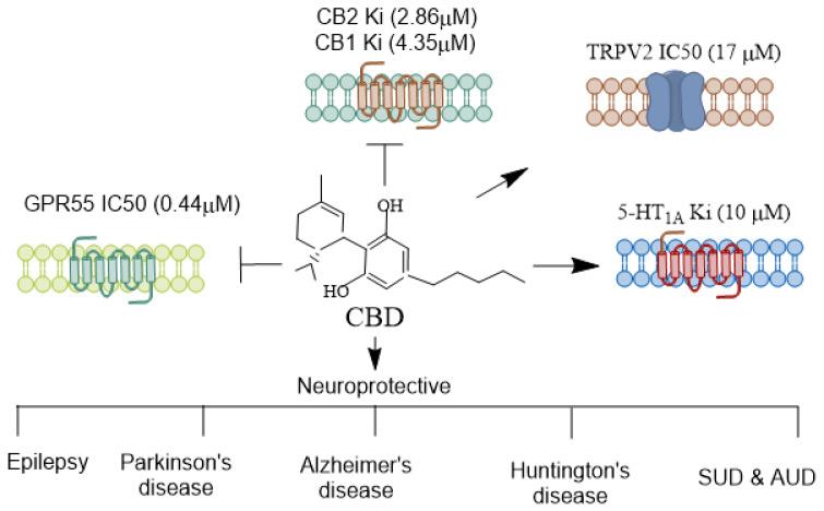 https://cdn.ncbi.nlm.nih.gov/pmc/blobs/0afd/11506053/9bdf8d1359b5/biomolecules-14-01296-g001.jpg