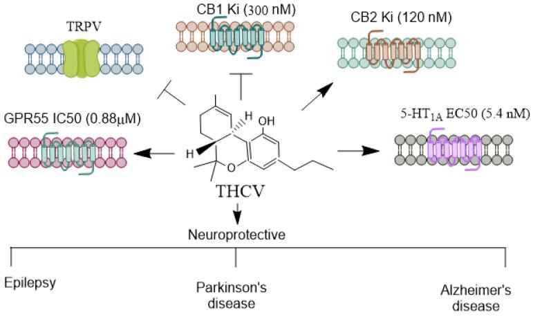 https://cdn.ncbi.nlm.nih.gov/pmc/blobs/0afd/11506053/a471b6025d80/biomolecules-14-01296-g003.jpg