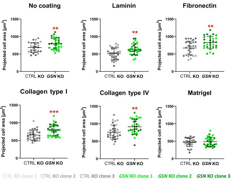 https://cdn.ncbi.nlm.nih.gov/pmc/blobs/0b3f/8394273/055cad832443/cells-10-01848-g006.jpg