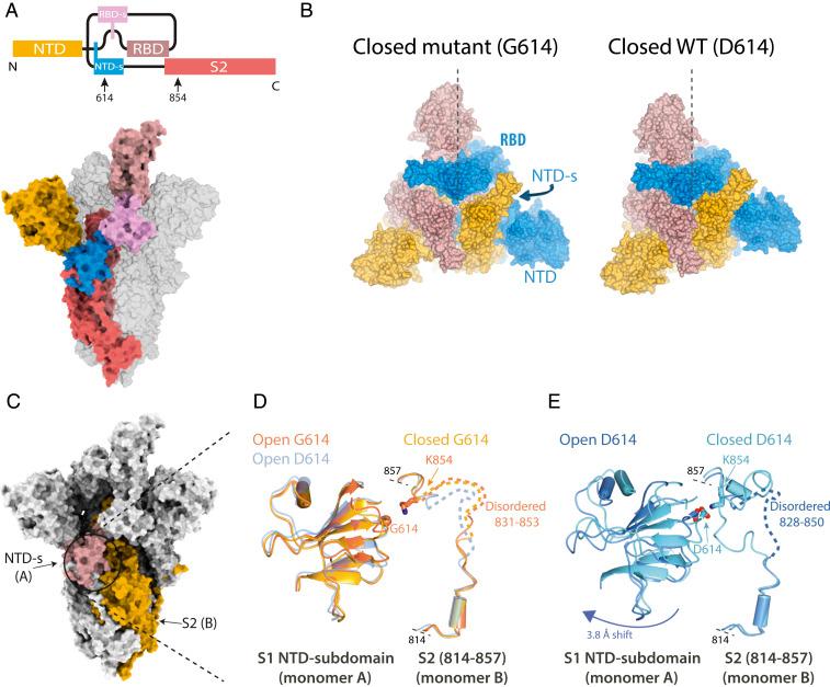 https://cdn.ncbi.nlm.nih.gov/pmc/blobs/0b9f/7936381/544ca88f79f8/pnas.2022586118fig02.jpg
