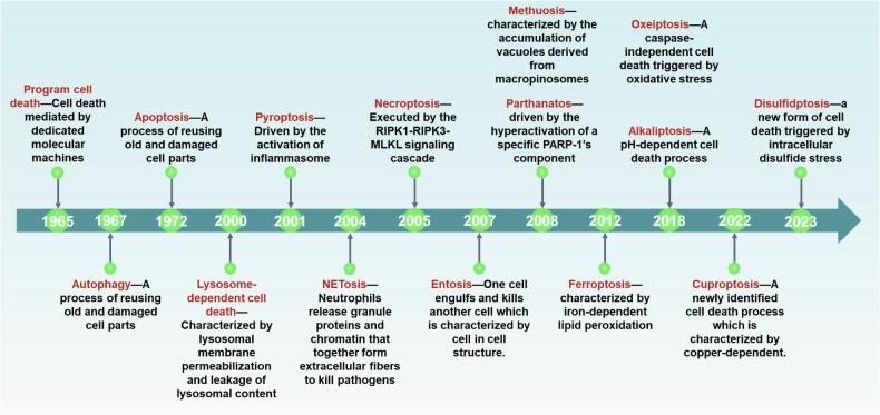 https://cdn.ncbi.nlm.nih.gov/pmc/blobs/0ba0/11589755/50dcbe969e25/41419_2024_7244_Fig1_HTML.jpg