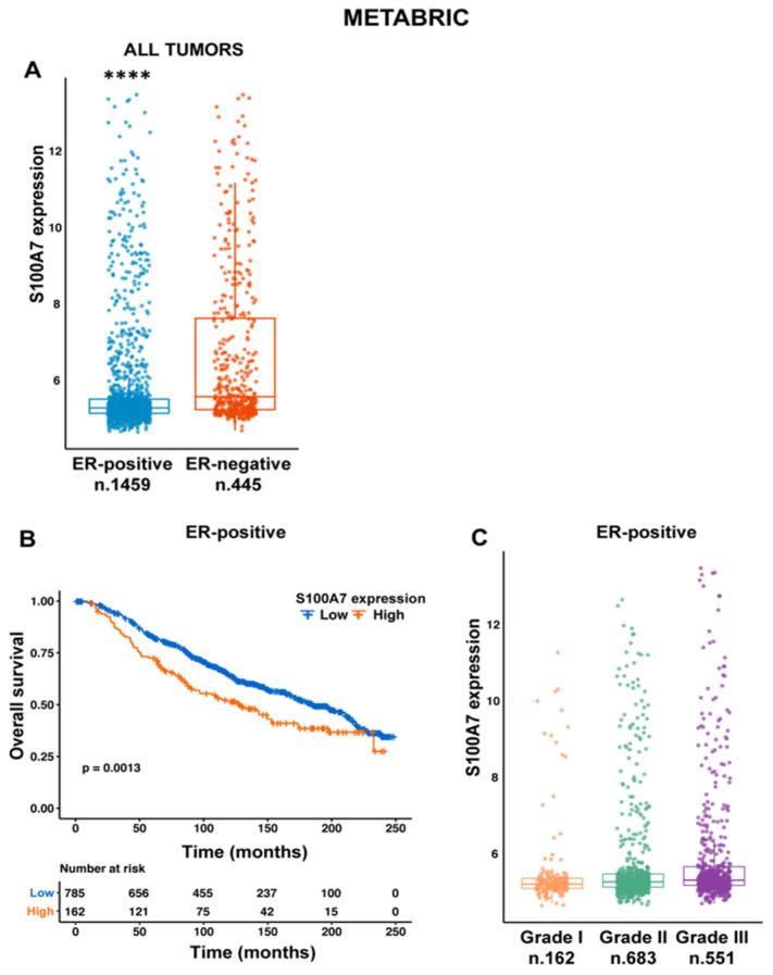 https://cdn.ncbi.nlm.nih.gov/pmc/blobs/0ba1/7915817/2d08458c8321/cancers-13-00621-g001.jpg
