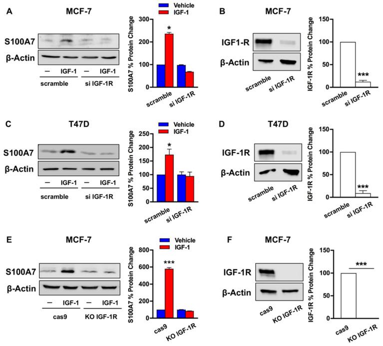 https://cdn.ncbi.nlm.nih.gov/pmc/blobs/0ba1/7915817/73430b719154/cancers-13-00621-g003.jpg