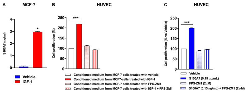 https://cdn.ncbi.nlm.nih.gov/pmc/blobs/0ba1/7915817/e3bc19d48225/cancers-13-00621-g006.jpg