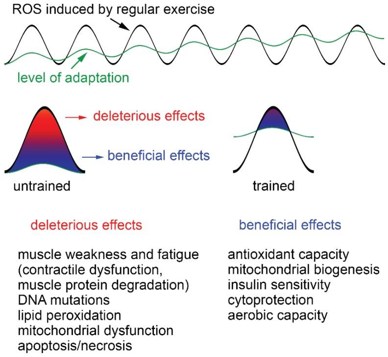 https://cdn.ncbi.nlm.nih.gov/pmc/blobs/0bb8/4496677/0e071c87afaa/biomolecules-05-00356-g002.jpg