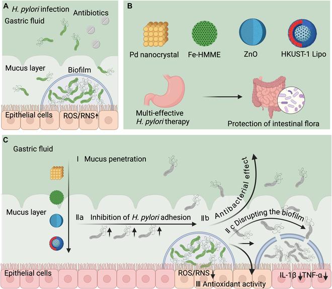 https://cdn.ncbi.nlm.nih.gov/pmc/blobs/0bd7/12159416/511fbfac9f43/bmr.0165.fig.004.jpg
