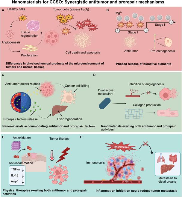 https://cdn.ncbi.nlm.nih.gov/pmc/blobs/0bd7/12159416/9d0f12083030/bmr.0165.fig.005.jpg