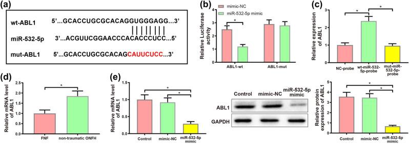 https://cdn.ncbi.nlm.nih.gov/pmc/blobs/0be4/10997031/a873584640ca/j_med-2024-0943-fig005.jpg