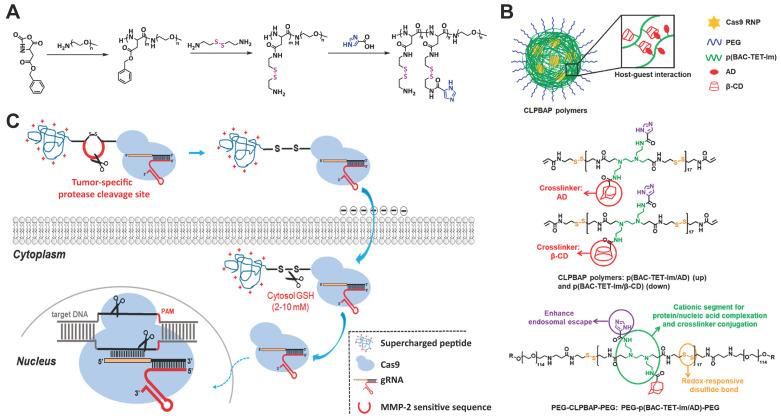 https://cdn.ncbi.nlm.nih.gov/pmc/blobs/0be4/7738854/84d72d61d64a/thnov11p0614g014.jpg