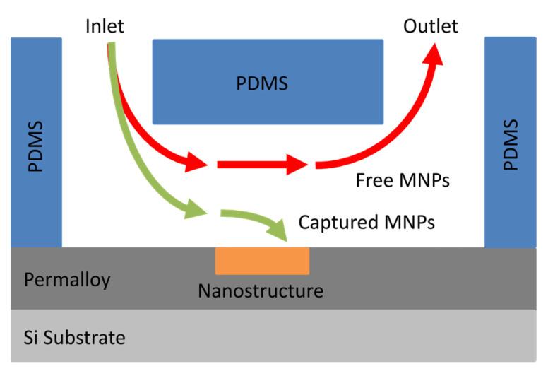 https://cdn.ncbi.nlm.nih.gov/pmc/blobs/0be6/11768078/8de9269cb072/nanomaterials-15-00132-g003.jpg