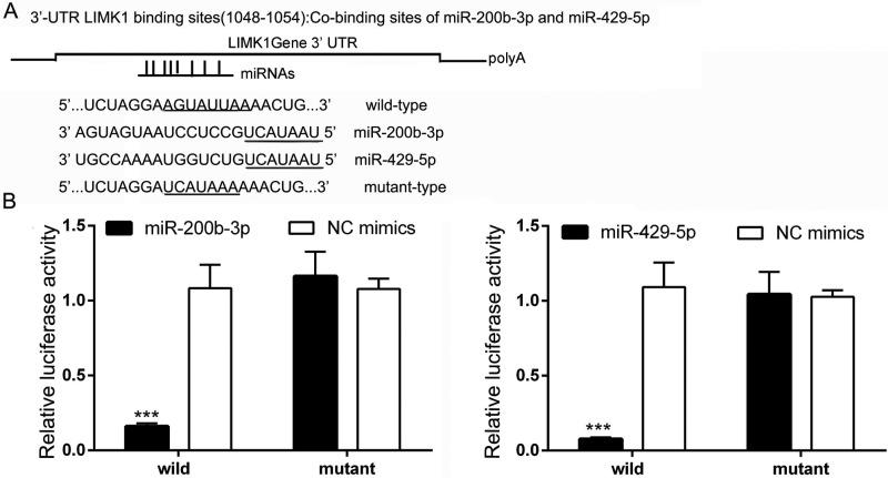 https://cdn.ncbi.nlm.nih.gov/pmc/blobs/0bfc/5689609/aa739410a624/oncotarget-08-85276-g004.jpg