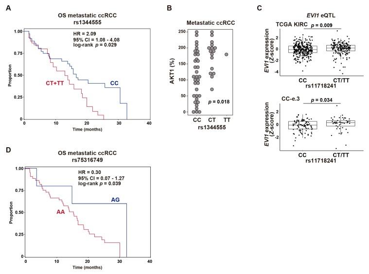 https://cdn.ncbi.nlm.nih.gov/pmc/blobs/0c02/7072453/a0e98d1ef779/cancers-12-00300-g004.jpg