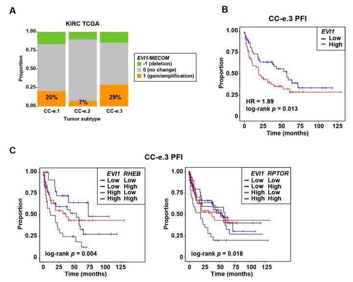https://cdn.ncbi.nlm.nih.gov/pmc/blobs/0c02/7072453/b6a31306e26e/cancers-12-00300-g002.jpg