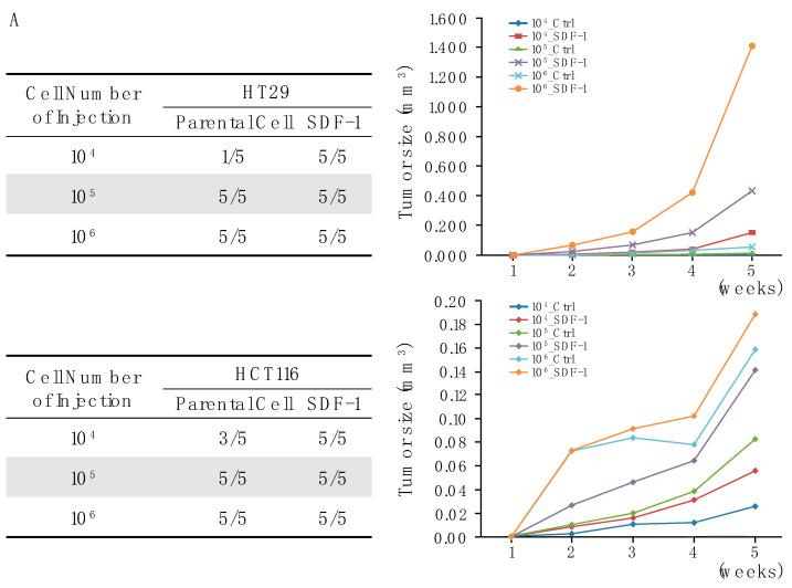 https://cdn.ncbi.nlm.nih.gov/pmc/blobs/0c0b/11352219/b79311407c77/cells-13-01334-g005a.jpg