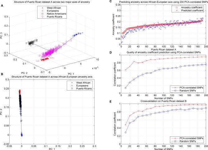 https://cdn.ncbi.nlm.nih.gov/pmc/blobs/0c0f/1994706/ec9cecc2a258/pgen.0030160.g006.jpg