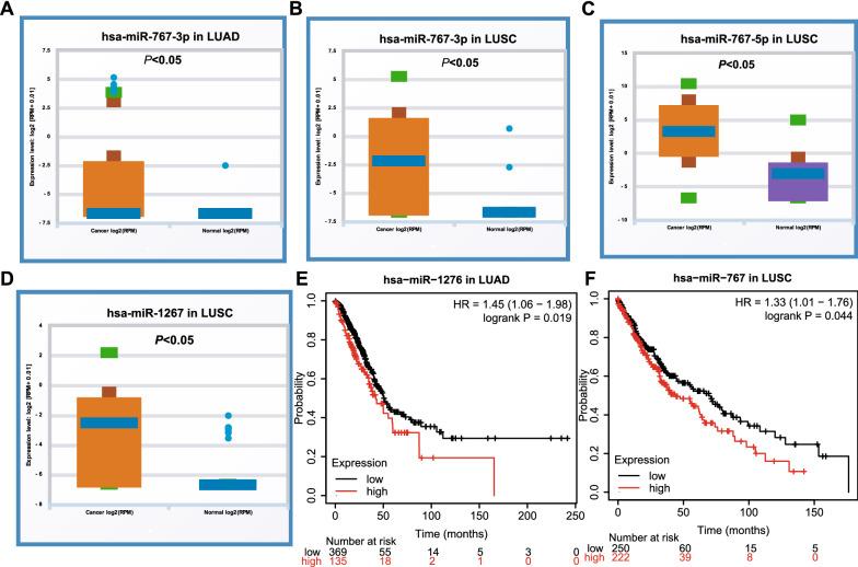 https://cdn.ncbi.nlm.nih.gov/pmc/blobs/0c26/8605517/1ded4d88b318/12935_2021_2278_Fig4_HTML.jpg