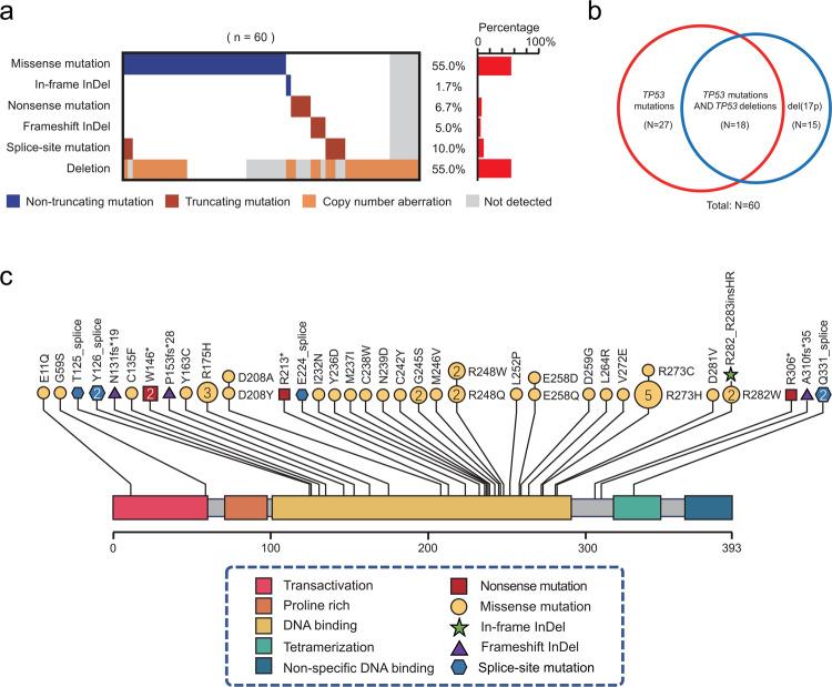 https://cdn.ncbi.nlm.nih.gov/pmc/blobs/0c34/8995369/457ef78eb358/41392_2022_924_Fig1_HTML.jpg