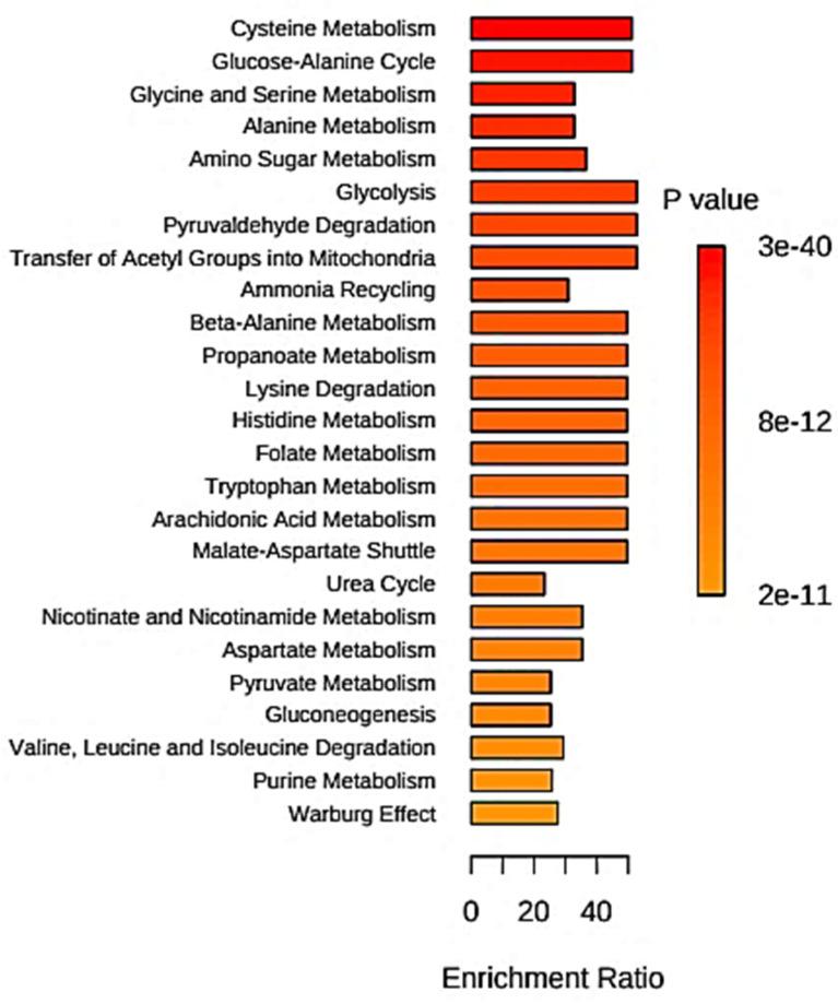 https://cdn.ncbi.nlm.nih.gov/pmc/blobs/0c46/9864626/8a444a62bc9c/metabolites-13-00066-g008.jpg
