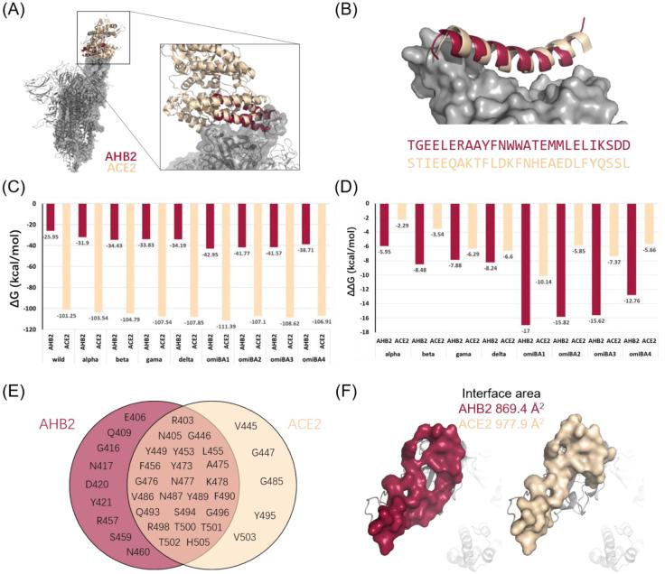 https://cdn.ncbi.nlm.nih.gov/pmc/blobs/0c4f/9834082/0f1fe0c59282/microbiol-08-04-038-g003.jpg