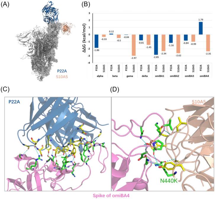 https://cdn.ncbi.nlm.nih.gov/pmc/blobs/0c4f/9834082/e9e4816d11aa/microbiol-08-04-038-g002.jpg