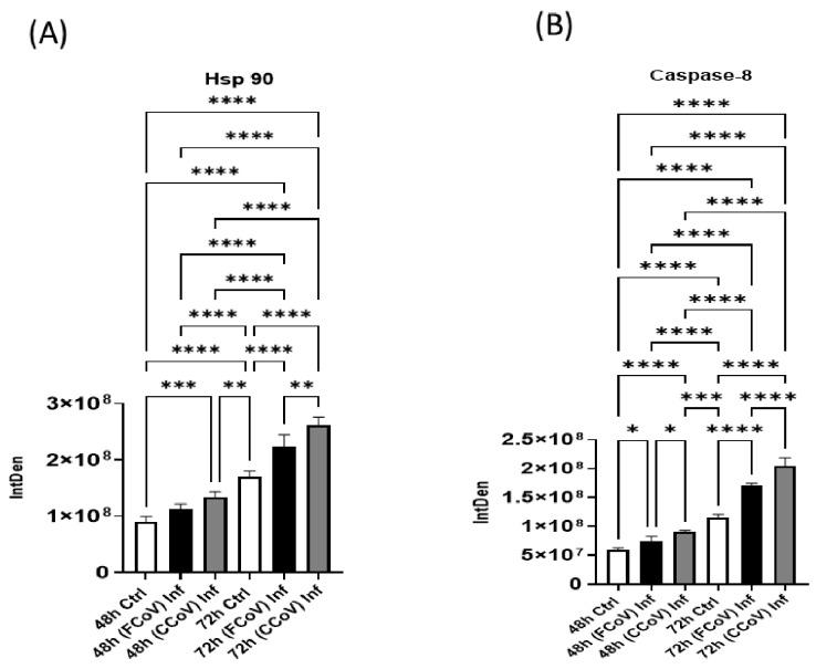https://cdn.ncbi.nlm.nih.gov/pmc/blobs/0c53/12115506/4243a4eba509/vetsci-12-00477-g007.jpg
