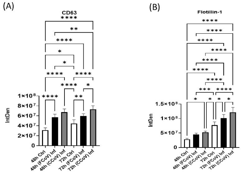 https://cdn.ncbi.nlm.nih.gov/pmc/blobs/0c53/12115506/a3a1ddd28bb9/vetsci-12-00477-g005.jpg