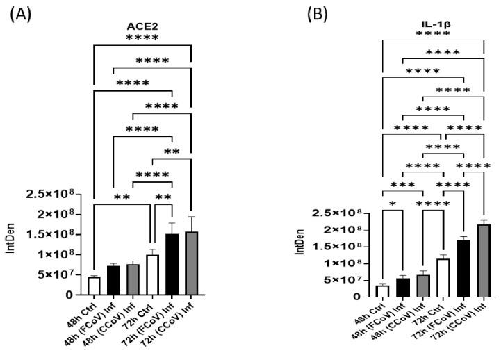 https://cdn.ncbi.nlm.nih.gov/pmc/blobs/0c53/12115506/e1fd48100491/vetsci-12-00477-g006.jpg