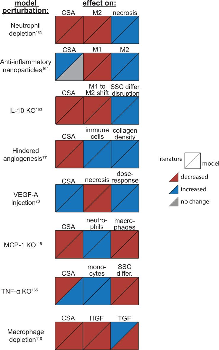 https://cdn.ncbi.nlm.nih.gov/pmc/blobs/0c6b/11147512/524d70002267/elife-91924-fig3.jpg