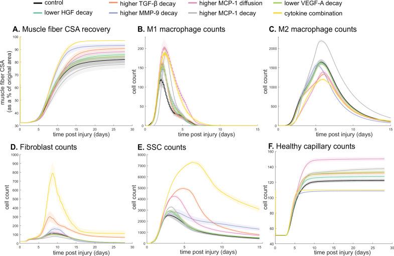 https://cdn.ncbi.nlm.nih.gov/pmc/blobs/0c6b/11147512/841ffb21b32a/elife-91924-fig6.jpg