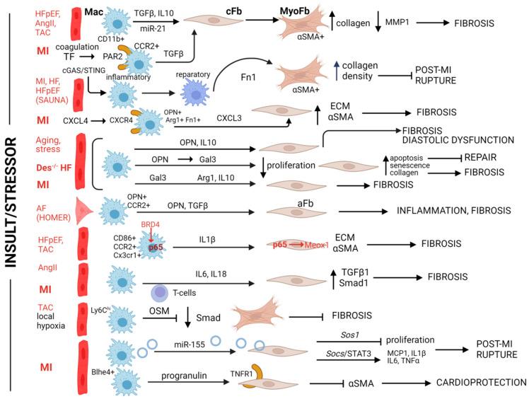 https://cdn.ncbi.nlm.nih.gov/pmc/blobs/0c74/11591949/23a32ae12cfe/biomolecules-14-01403-g002.jpg