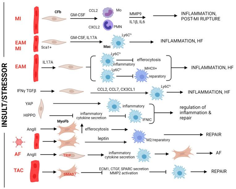 https://cdn.ncbi.nlm.nih.gov/pmc/blobs/0c74/11591949/93fd92945d5c/biomolecules-14-01403-g004.jpg