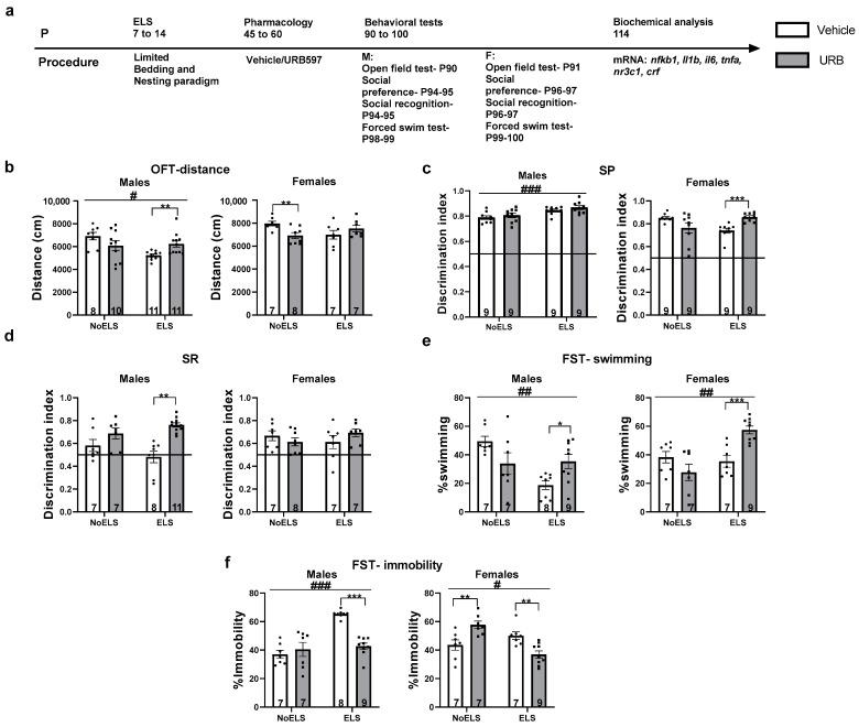 https://cdn.ncbi.nlm.nih.gov/pmc/blobs/0c7e/11593135/25f2f61a385c/cells-13-01881-g001.jpg