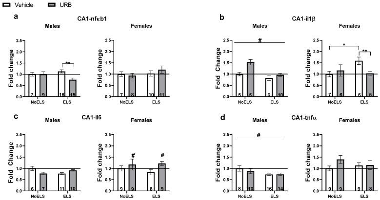 https://cdn.ncbi.nlm.nih.gov/pmc/blobs/0c7e/11593135/30e906790648/cells-13-01881-g004.jpg