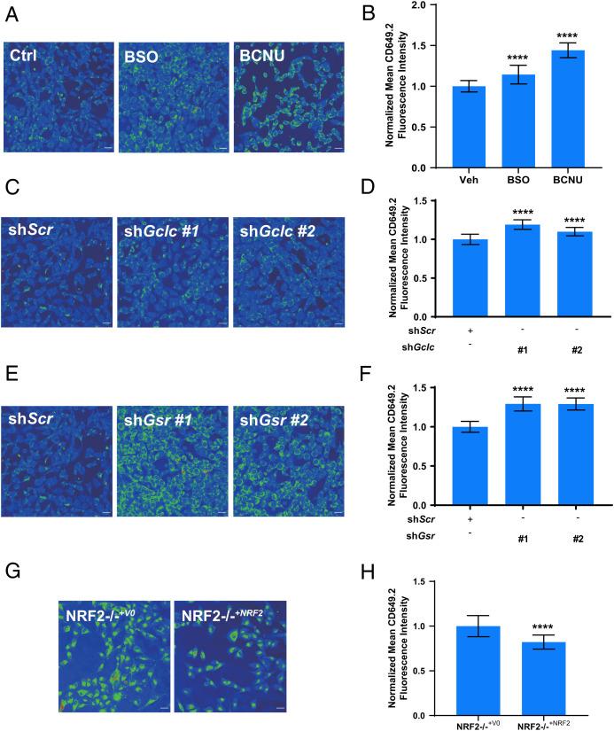 https://cdn.ncbi.nlm.nih.gov/pmc/blobs/0c81/9621372/a5ecbcb1d33c/pnas.2202736119fig03.jpg